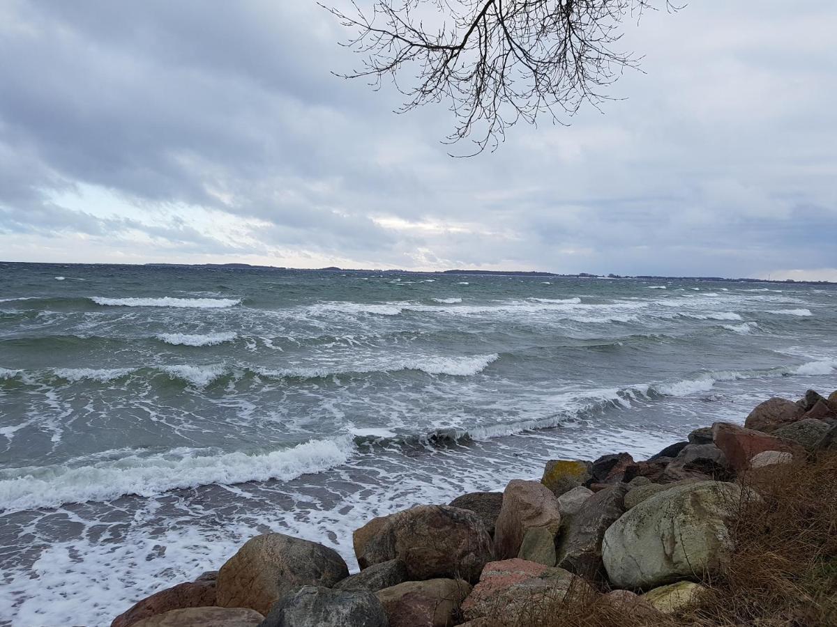 Strandappartement Steinberghaff zur Birk mit Meerblick Steinberg  Exterior foto